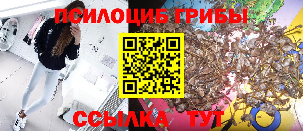 Псилоцибиновые грибы прущие грибы  Псилоцибиновые грибы GOLDEN TEACHER  Вход с VPN  Красноармейск 