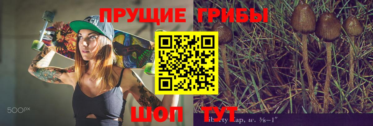 Псилоцибиновые грибы Magic Shrooms Красноармейск